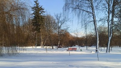 тернопіль, парк, зима, сніг, 9 лютого 
