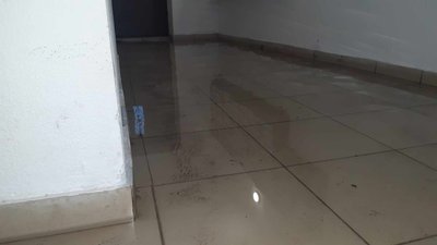Гроза в Івано-Франківську: підтоплені вулиці та повалені дерева Гроза в Івано-Франківську: підтоплені вулиці та повалені дерева
