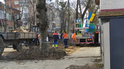 Аварійні дерева у Полтаві Аварійні дерева у Полтаві