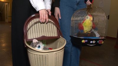 День без рюкзаків День без рюкзаків