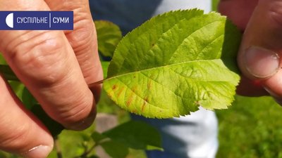 Мешканці села під Сумами скаржаться на місцевого фермера