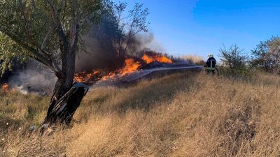 На Черкащині за добу сталися 11 пожеж сухої трави й очерету На Черкащині за добу сталися 11 пожеж сухої трави й очерету