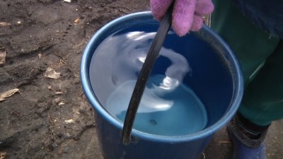 На Житомирщині перевірили якість води в 6000 криниць – в кожній третій вода не відповідає нормам