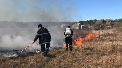 Випалювання трави та очерету: на Полтавщині горіли 25 гектарів сухої рослинності Випалювання трави та очерету: на Полтавщині горіли 25 гектарів сухої рослинності
