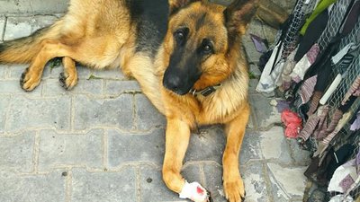 Майже триста поїздок за вісім років війни: інтерв'ю з луцьким волонтером Сергієм Балицьким Майже триста поїздок за вісім років війни: інтерв'ю з луцьким волонтером Сергієм Балицьким