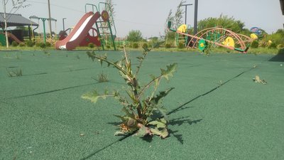 Дитсадок під Луцьком, який мав відкритися минулого року, обстежила комісія. Коли він запрацює