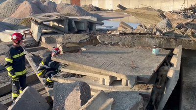 Під Житомиром врятували тварину, яка місяць пролежала затиснутою між бетонними плитами Під Житомиром врятували тварину, яка місяць пролежала затиснутою між бетонними плитами