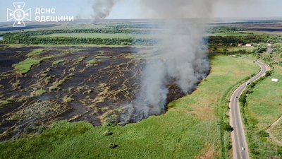 горить очерет, пожежа біля маяк