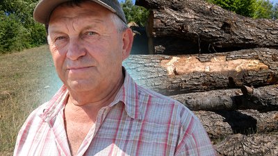 дрова, ціна на дрова, скільки коштують дрова, лісництво, куб деревини