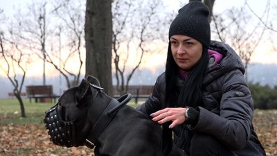 Уряд вніс 52 породи собак до переліку "небезпечних": як оформити страхування Уряд вніс 52 породи собак до переліку "небезпечних": як оформити страхування