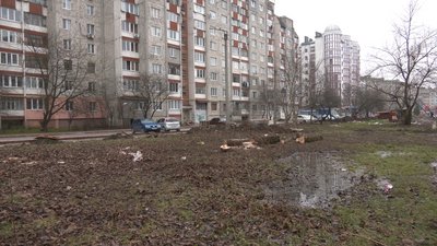 Вирубка дерев чи чистка чагарників. У Франківську жителі та комунальники не можуть дійти згоди Вирубка дерев чи чистка чагарників. У Франківську жителі та комунальники не можуть дійти згоди