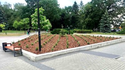 У Тернополі створюють патріотичні квітники У Тернополі створюють патріотичні квітники
