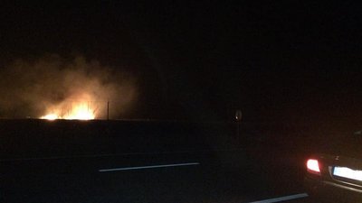 Під Одесою горів заповідник