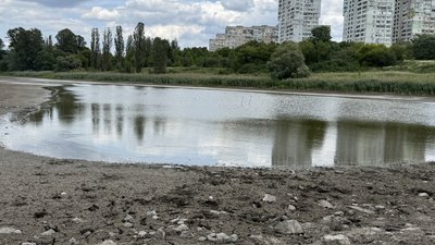 У Полтаві шукають спосіб врятувати Пушкарівський ставок