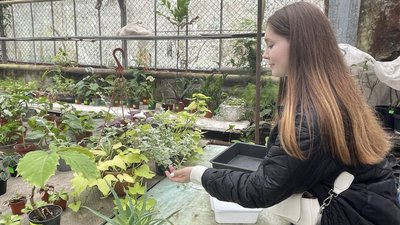 У ботанічному саду в Дніпрі — День відкритих дверей: фоторепортаж У ботанічному саду в Дніпрі — День відкритих дверей: фоторепортаж