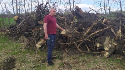 У селі Мілова Балка на Кіровоградщині вирубали сотню дерев. Хто за це відповідатиме У селі Мілова Балка на Кіровоградщині вирубали сотню дерев. Хто за це відповідатиме