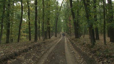 На Черкащині створили перший інклюзивно-туристичний маршрут На Черкащині створили перший інклюзивно-туристичний маршрут
