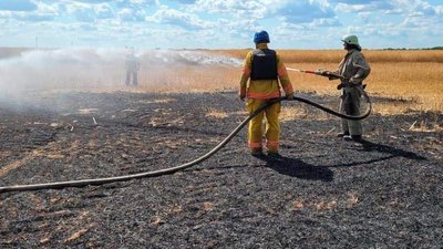 Російські військові спалили 50 гектарів полів Криворізького району Російські військові спалили 50 гектарів полів Криворізького району