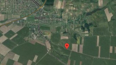 Біля Рівного у полі з'явилися калюжі лавандового кольору Біля Рівного у полі з'явилися калюжі лавандового кольору