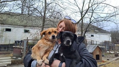 "Може, в когось серце тьохне".Тваринам, евакуйованим з Донеччини, шукають господарів "Може, в когось серце тьохне".Тваринам, евакуйованим з Донеччини, шукають господарів