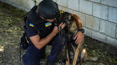 Мінно-пошукова собака з Сумщини Арні розміновує території Миколаївщини Мінно-пошукова собака з Сумщини Арні розміновує території Миколаївщини