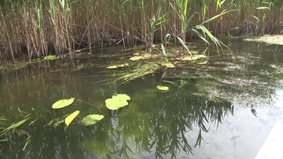 У Херсощині представили нові туристичні маршрути у плавнях У Херсощині представили нові туристичні маршрути у плавнях