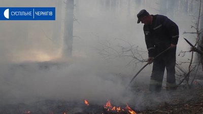 195 гектарів лісу горять біля села Сорокошичі Козелецького району 195 гектарів лісу горять біля села Сорокошичі Козелецького району