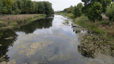 дефіцит опадів, рівень води, річки Волині, обміління водойм, маловоддя на Волині