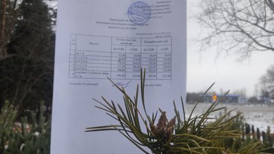 Працівники лісомисливських господарств Житомирщини підготували до продажу 250 тисяч ялин та сосен