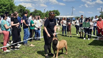 Афганська борза, великий вандейський грифон, ріджбек. У Кропивницький приїхали позмагатися понад 300 собак Афганська борза, великий вандейський грифон, ріджбек. У Кропивницький приїхали позмагатися понад 300 собак