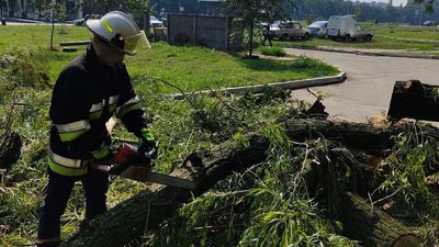Після грози на Кіровоградщині прибирають повалені дерева