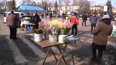 У Житомирі на вулиці Небесної Сотні почали продавати живі квіти У Житомирі на вулиці Небесної Сотні почали продавати живі квіти