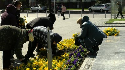Луцький озеленять на майже 18 мільйонів гривень