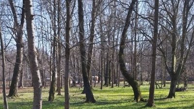 Весна у парку, березень 2026 року, Хмельницький