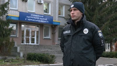 собаки