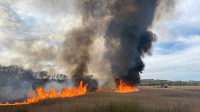 У Тернополі вздовж річки Серет понад чотири години гасили пожежу. Горів очерет