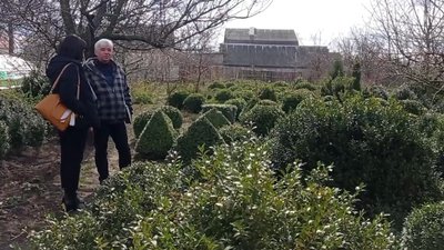 На Житомирщині переселенець із Бучанського району створює сувенірні тарілки на патріотичну тематику На Житомирщині переселенець із Бучанського району створює сувенірні тарілки на патріотичну тематику