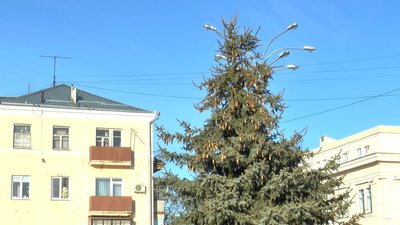 Новорічна ялинка у Полтаві: де та коли встановлять 2023