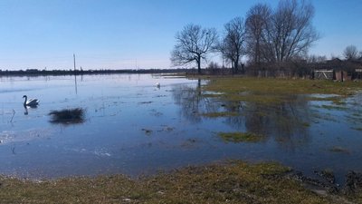 Вода біля хат тримається: як у громаді на Волині борються з паводками Вода біля хат тримається: як у громаді на Волині борються з паводками