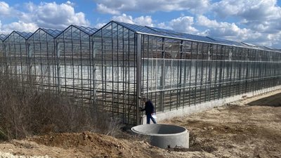 тернопіль, теплиці, самовільне будівництво, 6 травня 2026 року