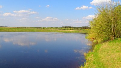 На Житомирщині підприємець взяв в оренду частину річки і незаконно вирощував там рибу на продаж