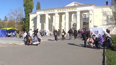 У Миколаєві вшосте відбулась виставка безпритульних собак "Щастя не має породи"