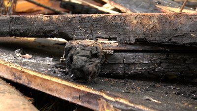 Першими побачили пожежу. Учні Братковецького ліцею на Франківщині вночі гасили вогонь у сусіда Першими побачили пожежу. Учні Братковецького ліцею на Франківщині вночі гасили вогонь у сусіда