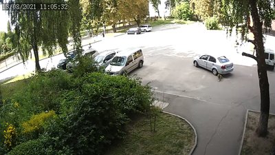 У Житомирі пес залишився цілим та неушкодженим після наїзду легковика У Житомирі пес залишився цілим та неушкодженим після наїзду легковика