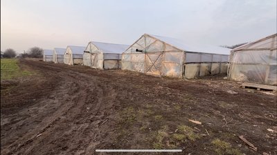 Теплиці на Полтавщині Теплиці на Полтавщині