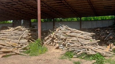 Дерева, які виявили у фермерському господарстві Дерева, які виявили у фермерському господарстві