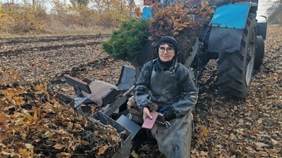 "Садити ліс, то велике задоволення": на Полтавщині лісівники почали осінню висадку "Садити ліс, то велике задоволення": на Полтавщині лісівники почали осінню висадку