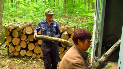 Продають дуб, граб та ясен: у лісництві на Вінниччині проводять акцію “Купуй дрова влітку” Продають дуб, граб та ясен: у лісництві на Вінниччині проводять акцію “Купуй дрова влітку”
