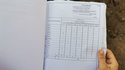 У Луцьку під час капремонту дворів зрізали 86 дерев. Що кажуть мешканці та комунальники У Луцьку під час капремонту дворів зрізали 86 дерев. Що кажуть мешканці та комунальники