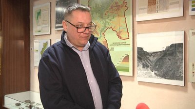 "Глибина дуже велика": що кажуть жителі про провалля у лісі на Тернопільщині "Глибина дуже велика": що кажуть жителі про провалля у лісі на Тернопільщині